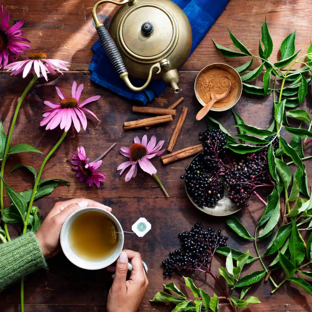 Echinacea Plus® Elderberry Tea
